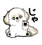 New シーズー犬 2025 「いつも使う言葉」（個別スタンプ：39）