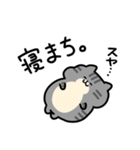 舌足らず敬語♪しましまこねこ（個別スタンプ：10）