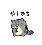 舌足らず敬語♪しましまこねこ（個別スタンプ：15）