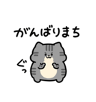 舌足らず敬語♪しましまこねこ（個別スタンプ：18）