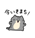 舌足らず敬語♪しましまこねこ（個別スタンプ：34）