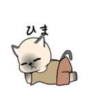 忠実なシャム猫（個別スタンプ：6）