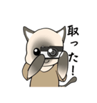 忠実なシャム猫（個別スタンプ：8）