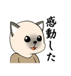 忠実なシャム猫（個別スタンプ：10）