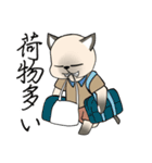 忠実なシャム猫（個別スタンプ：12）