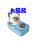 忠実なシャム猫（個別スタンプ：16）