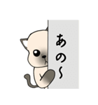 忠実なシャム猫（個別スタンプ：17）