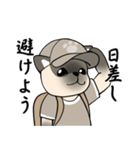 忠実なシャム猫（個別スタンプ：24）