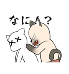 忠実なシャム猫（個別スタンプ：27）