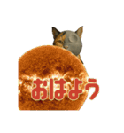 ハニーちゃん オニャンコラージュver.1.0（個別スタンプ：1）