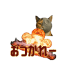ハニーちゃん オニャンコラージュver.1.0（個別スタンプ：5）