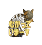 ハニーちゃん オニャンコラージュver.1.0（個別スタンプ：8）