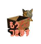 ハニーちゃん オニャンコラージュver.1.0（個別スタンプ：9）