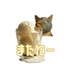 ハニーちゃん オニャンコラージュver.1.0（個別スタンプ：10）