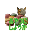 ハニーちゃん オニャンコラージュver.1.0（個別スタンプ：12）