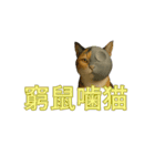 ハニーちゃん オニャンコラージュver.1.0（個別スタンプ：20）