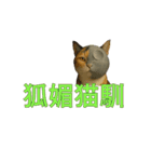 ハニーちゃん オニャンコラージュver.1.0（個別スタンプ：21）