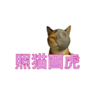 ハニーちゃん オニャンコラージュver.1.0（個別スタンプ：22）