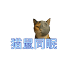ハニーちゃん オニャンコラージュver.1.0（個別スタンプ：23）