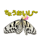 チョウのちょう〇〇スタンプ（個別スタンプ：6）
