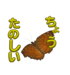 チョウのちょう〇〇スタンプ（個別スタンプ：11）