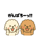 ゆるかわトイプードル♡【気持ち色々】（個別スタンプ：11）