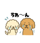ゆるかわトイプードル♡【気持ち色々】（個別スタンプ：20）