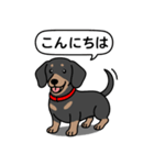 ミニチュアダックス(スムースブラックタン)（個別スタンプ：1）