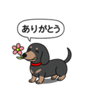 ミニチュアダックス(スムースブラックタン)（個別スタンプ：2）