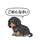 ミニチュアダックス(スムースブラックタン)（個別スタンプ：3）