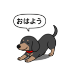 ミニチュアダックス(スムースブラックタン)（個別スタンプ：4）