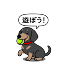 ミニチュアダックス(スムースブラックタン)（個別スタンプ：6）