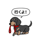 ミニチュアダックス(スムースブラックタン)（個別スタンプ：7）