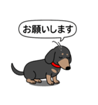 ミニチュアダックス(スムースブラックタン)（個別スタンプ：11）