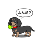 ミニチュアダックス(スムースブラックタン)（個別スタンプ：12）