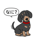 ミニチュアダックス(スムースブラックタン)（個別スタンプ：13）
