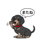 ミニチュアダックス(スムースブラックタン)（個別スタンプ：14）