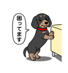 ミニチュアダックス(スムースブラックタン)（個別スタンプ：15）