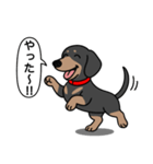 ミニチュアダックス(スムースブラックタン)（個別スタンプ：22）