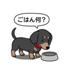 ミニチュアダックス(スムースブラックタン)（個別スタンプ：24）