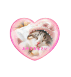 COCOroomスタンプ0000（個別スタンプ：1）