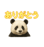 やさしいパンダの毎日（個別スタンプ：4）