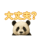 やさしいパンダの毎日（個別スタンプ：6）