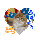 ねこまーち モコモコプリンセス（個別スタンプ：4）