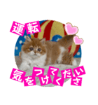ねこまーち モコモコプリンセス（個別スタンプ：6）