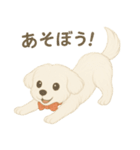 犬のしぐさと気持ち（個別スタンプ：1）