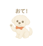 犬のしぐさと気持ち（個別スタンプ：5）