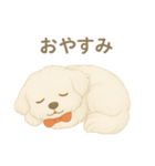 犬のしぐさと気持ち（個別スタンプ：7）