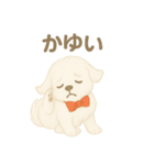 犬のしぐさと気持ち（個別スタンプ：8）