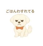 犬のしぐさと気持ち（個別スタンプ：9）